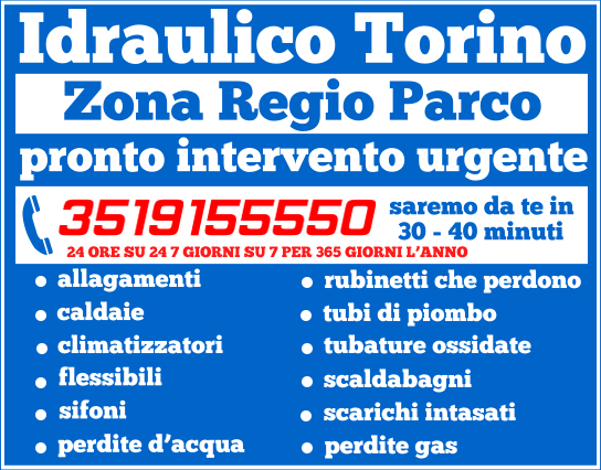 idraulico torino Regio Parco idraulico torino Regio Parco